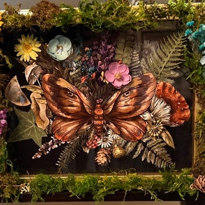 May include: A framed artwork featuring a detailed illustration of a moth with brown and tan wings, surrounded by dried flowers, ferns, and moss. The artwork is set against a black background and framed with moss and dried flowers.