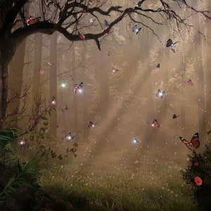 Field of butterflies | Shadowbox with LED String Lights and dried flowers