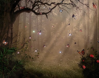 Field of butterflies | Shadowbox with LED String Lights and dried flowers