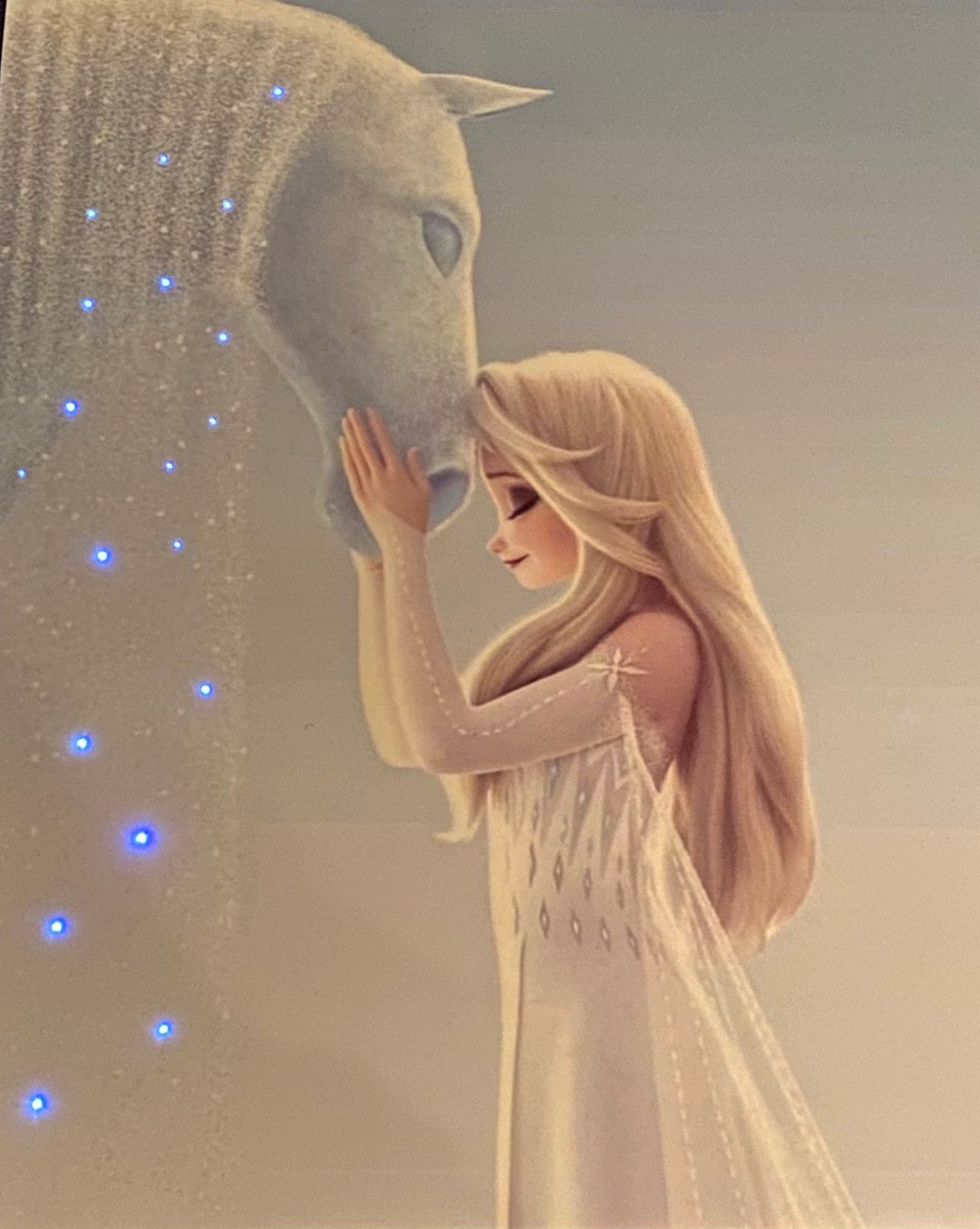 Disney's Elsa and Nokk from Frozen with LED String Etsy 日本