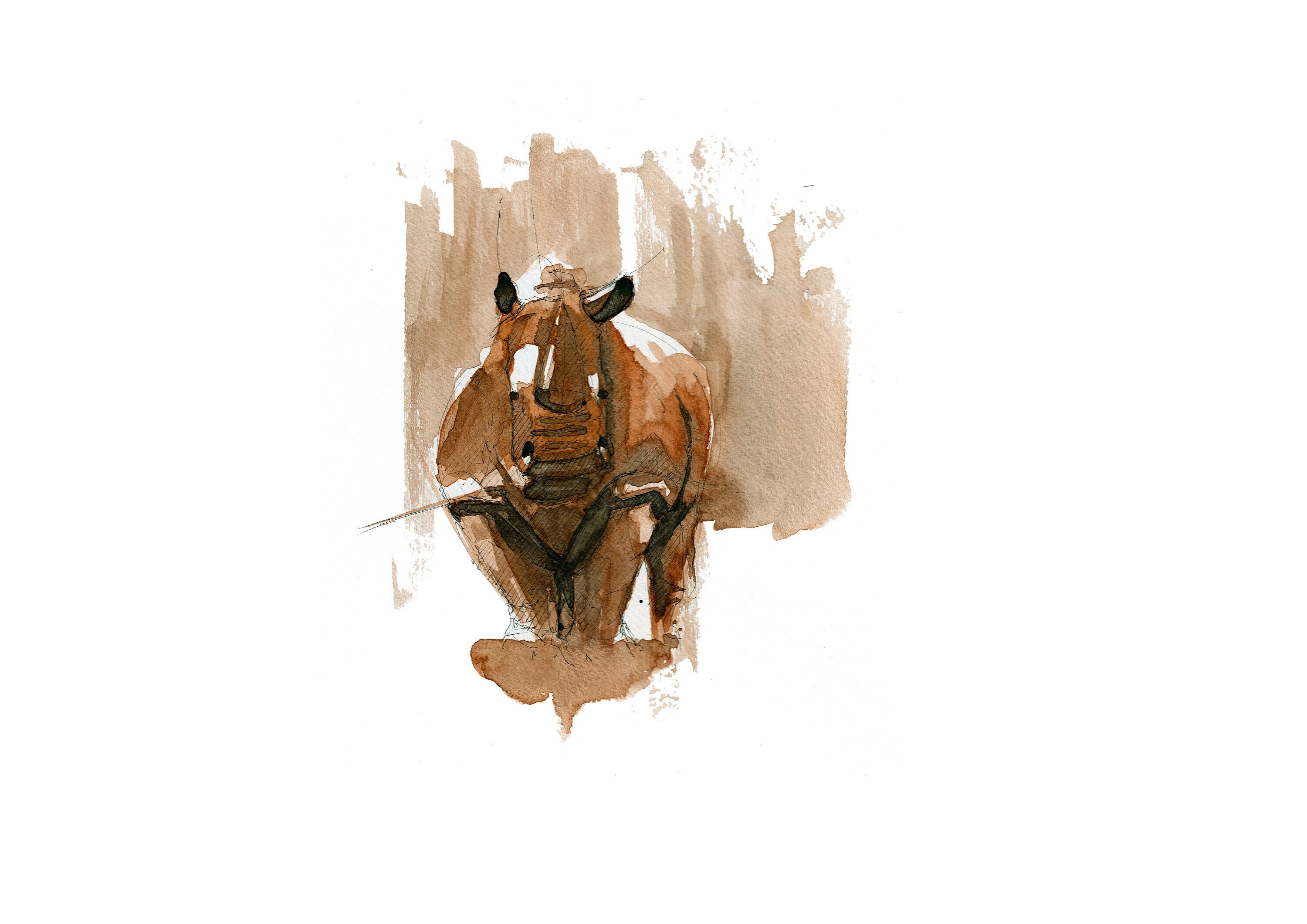 Peinture Originale d'un Rhinocéros Terre Brulée, Non Imprimée Aquarelle et Pointes Fines Par Clément