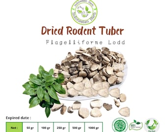 Dried Rodent Tuber Dried Typhonium Flagelliforme Lodd  Organic Herb Spice Fresh Pure Hygienic Premium