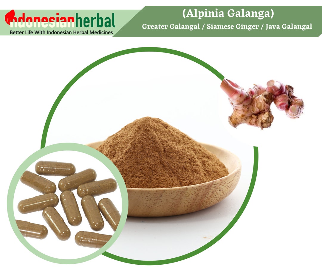 Capsule of Pure Greater Galangal / Siamese Ginger / Java Galangal ...