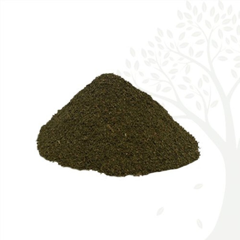 FRESH POWDER Bitter Leaf Bitter-tea Vernonia Tree Vernonia Ewuro Etidot Vernonia Amygdalina Organic image 4