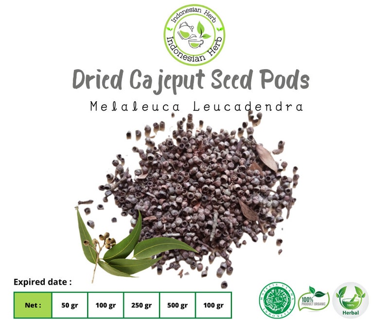 Dried Cajeput Seed Pods / Melaleuca Leucadendra Organic Herb Spices Fresh Premium image 1