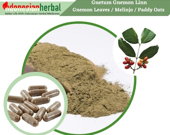 Capsule Of Gnemon Leaves Melinjo / Paddy Oats (Gnetum Gnemon Linn.) Organic  Natural Herbs