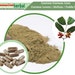 see more listings in the Herb Capsule  section