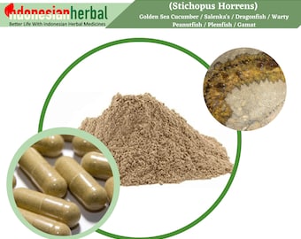 Capsule Of  Pure Golden Sea Cucumber / Gamat (Stichopus Horrens) 600mg Organic WildCrafted Fresh Natural Herbs Supplement