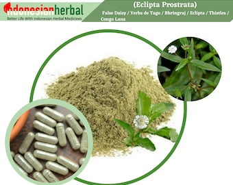 FRESH POWDER Pure False Daisy / Yerba de Tago Bhringraj / Eclipta / Thistles / Congo Lana (Eclipta Prostrata)