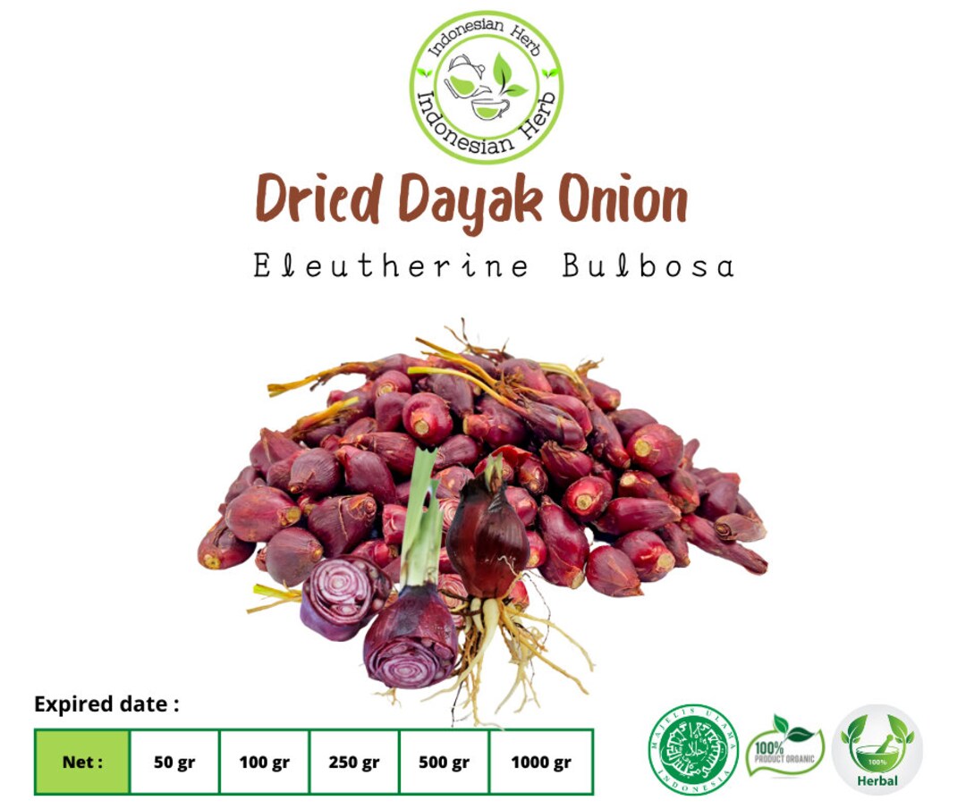 Dried Tears of the Virgin / Dayak Onion Dry Eleutherine Bulbosa Premium