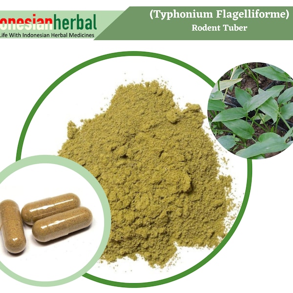 FRESH POWDER Rodent Tuber (Typhonium Flagelliforme) Organic