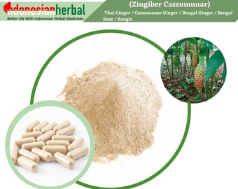 Kapsel mit reinem Cassumunar Ingwer / Bengalwurzel / Armreif (Zingiber Cassumunar) 600 mg Bio WildCrafted Frische natürliche Kräuter Ergänzung