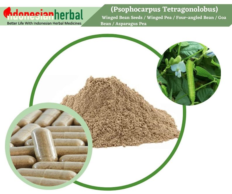 Capsule Of Pure Winged Bean Seeds / Asparagus Pea Psophocarpus Tetragonolobus Organic Herbs Supplement image 1