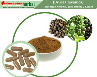 Capsule Of  Pure Macassar Kernels Java Brucea / Kosam (Brucea Javanica) 600mg Organic WildCrafted Fresh Natural