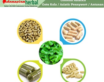 Capsule Of Gotu Kola / Asiatic Pennywort  Antanan / Pegagan (Centella Asiatica) 600 mg Pure