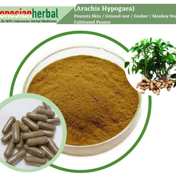 Capsule de peau de cacahuètes Arachide / Goober / Monkey Nut / Cacahuète cultivée (Arachis hypogaea) Herbes naturelles biologiques