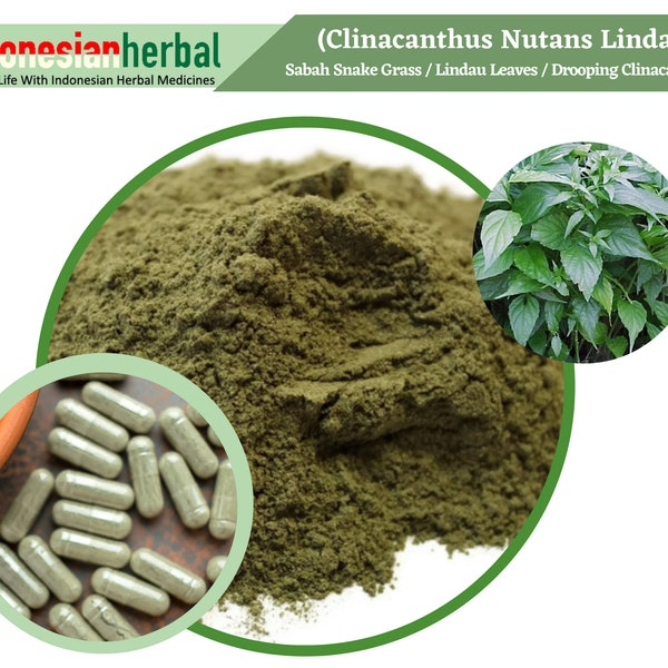 FRESH POWDER Sabah Snake Grass / Lindau Leaves / Drooping Clinacanthus (Clinacanthus Nutans Lindau) Organic