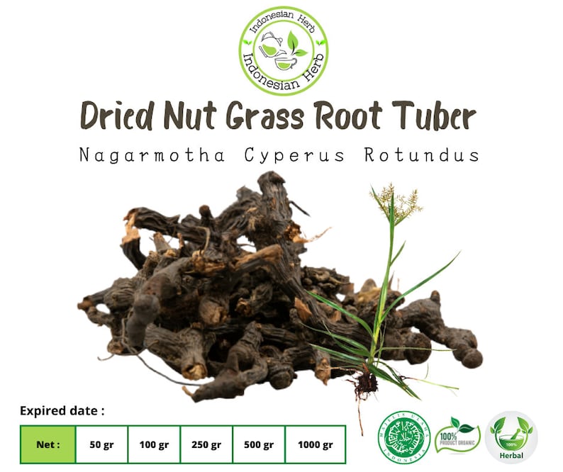 Dried Nut Grass Root Tuber Dry Nagarmotha Cyperus Rotundus Premium Fresh Organic Herb Spices image 1