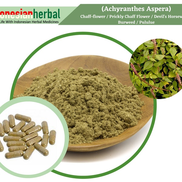 Capsule Of  Chaff-flower  Prickly Chaff Flower / Devil's Horsewhip / Pululue (Achyranthes Aspera) 600mg Organic WildCrafted Fresh Natural