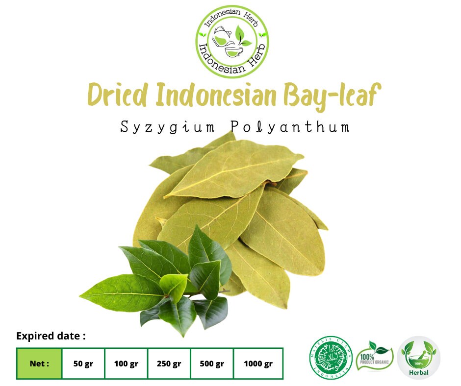 100++ Syzygium polyanthum Seeds Daun salam, Indian bay leaf, Indonesian