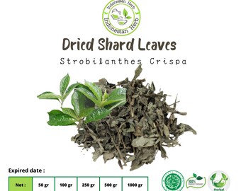 Dried Shard Leaves / Broken Glass Leaf Dry Strobilanthes Crispa  Organic Herbs Spices Fresh Pure