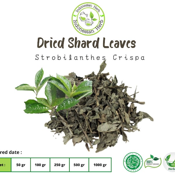 Dried Shard Leaves / Broken Glass Leaf Dry Strobilanthes Crispa  Organic Herbs Spices Fresh Pure