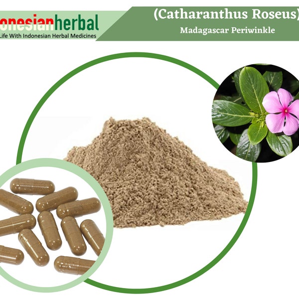 Capsule Of  Madagascar Periwinkle (Catharanthus Roseus) 600mg Organic WildCrafted Fresh Natural