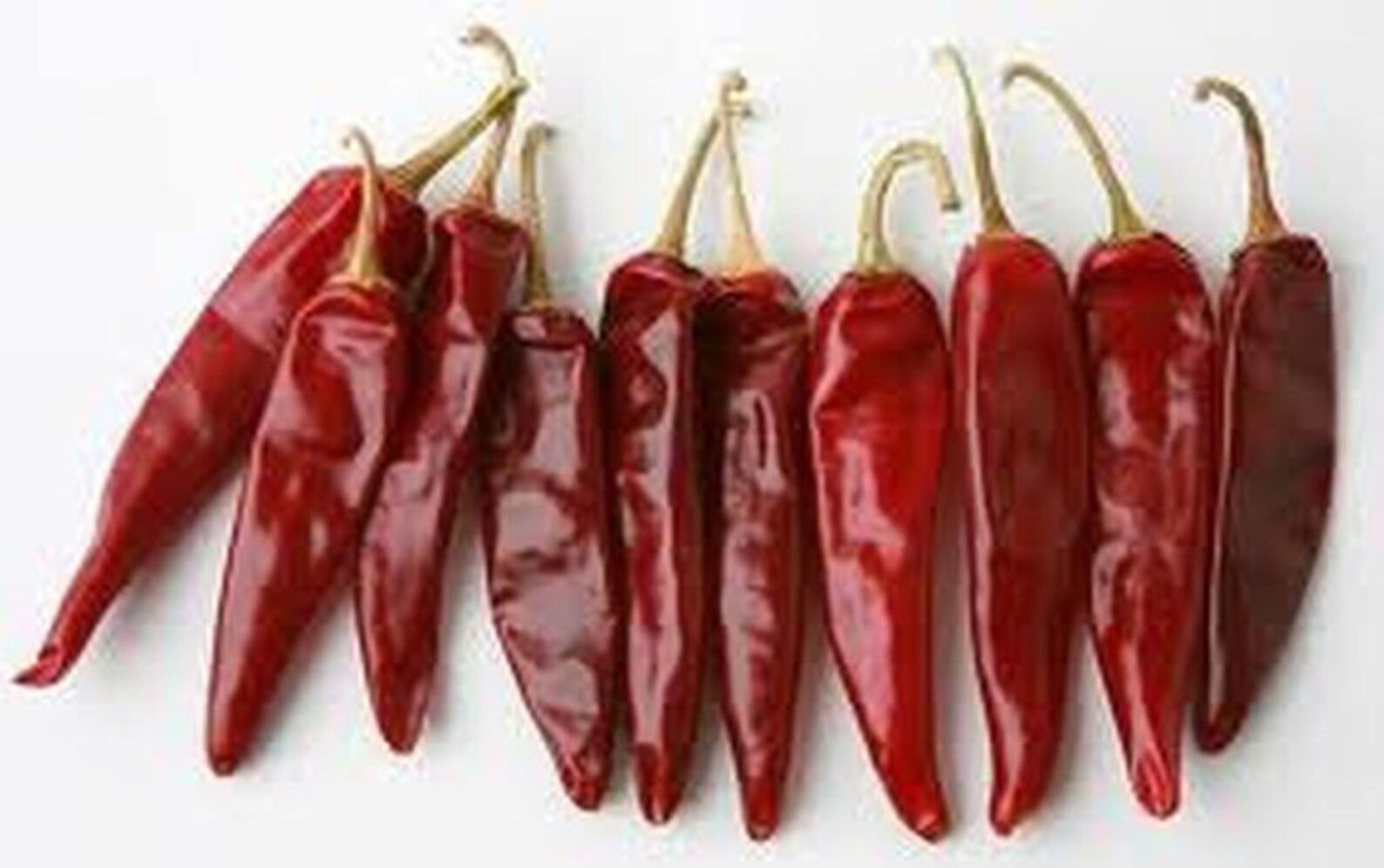 Guajillo Chile Pepper Seeds More Heirloom Organic Non Etsy