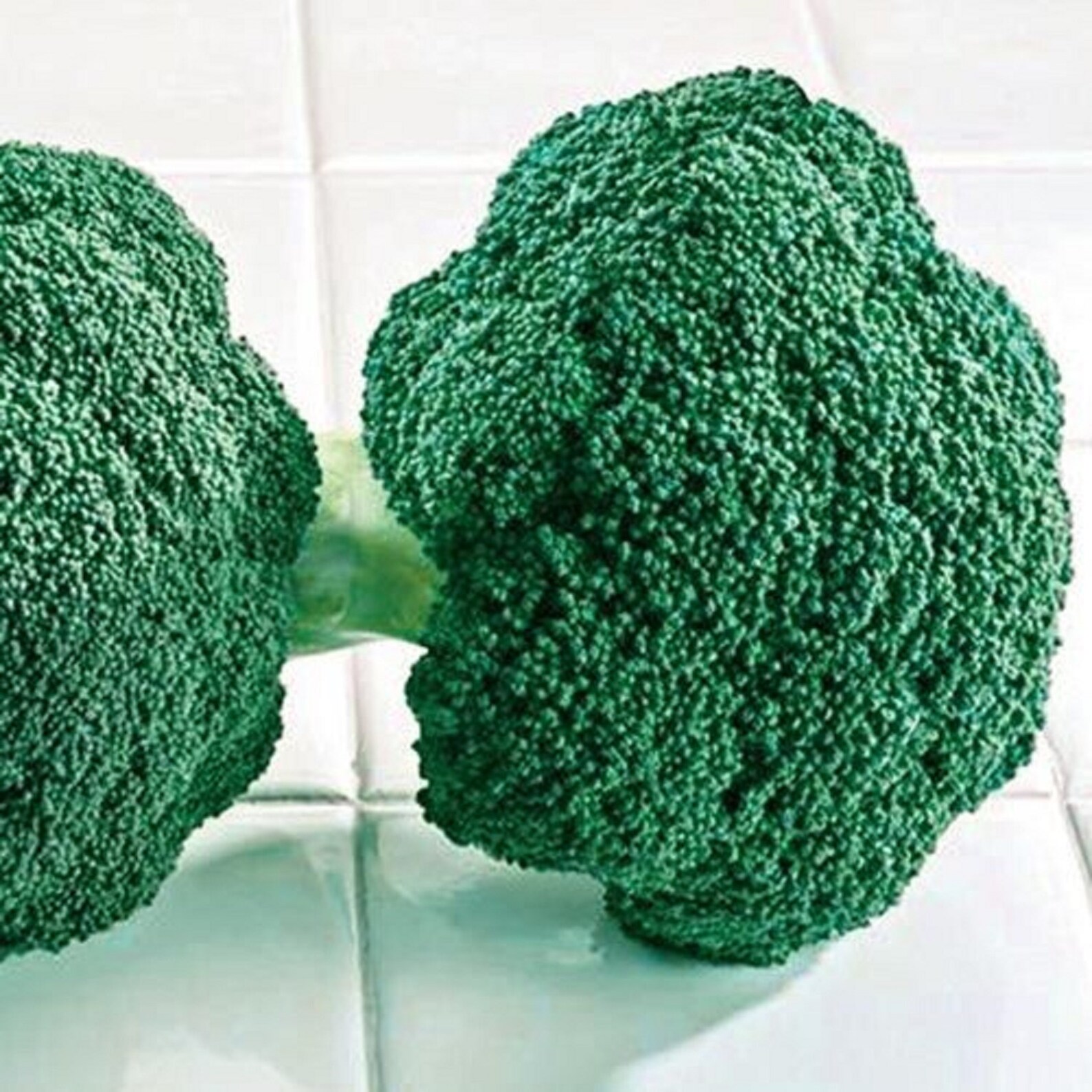 Destiny Hybrid Broccoli Seeds More Heirloom Organic Non Etsy