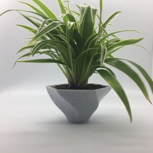 May include: A green and white spider plant in a white geometric planter. The planter has a textured surface.
