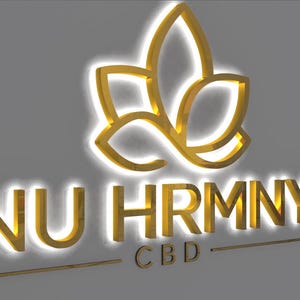 3D Metal Sign Backlit, Office Logo Sign Backlit, Outdoor Sign, Custom Business Led Sign, 3D Logo Sign, Metal Sign, Led Light Logo Sign image 2