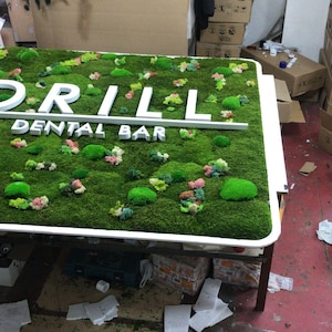 May include: A rectangular sign featuring a vibrant green moss background with white 3D lettering that reads DRILL DENTAL BAR. The sign is framed in white and decorated with various shades of green moss mounds and small colorful plant accents.