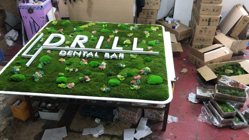 May include: A rectangular sign featuring a vibrant green moss background with white 3D lettering that reads DRILL DENTAL BAR. The sign is framed in white and decorated with various shades of green moss mounds and small colorful plant accents.