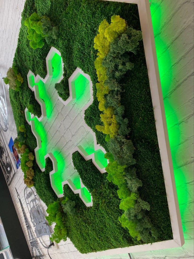 May include: A rectangular wall art piece featuring preserved green moss in various shades and textures. A central white snowflake-shaped cutout is illuminated from behind with a bright green LED light, creating a glowing effect against the moss.