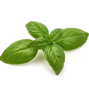 May include: A close-up of fresh basil leaves, displaying bright green tones. The leaves are arranged in a natural, symmetrical pattern, with visible veins and a smooth texture. The image highlights the plant's freshness and detail, ideal for culinary or gardening themes.