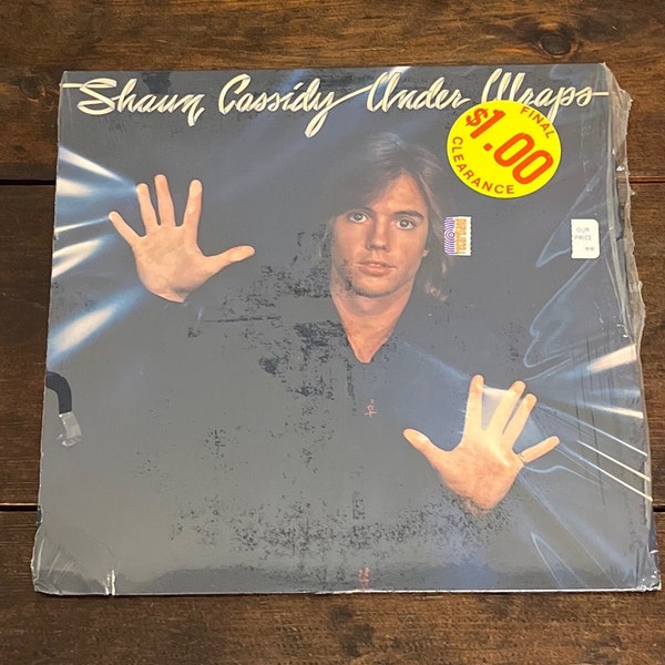 Shaun Cassidy Songs Etsy