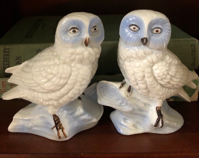 Vintage Owl Figurines Pair of Blue & White 4 Owl Etsy