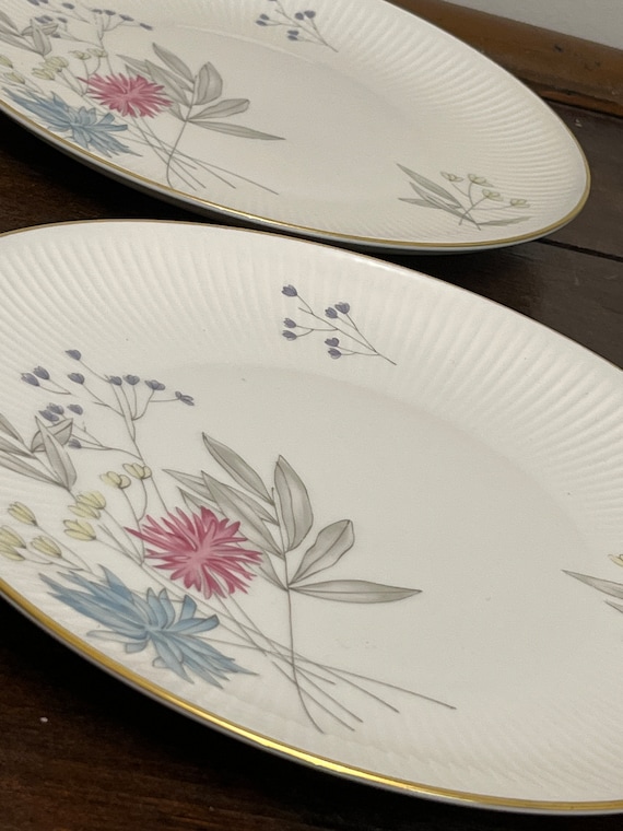 4 Thomas Germany Floral Dinner Plates, MCM Pink & Blue Floral