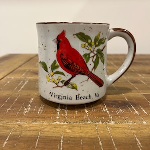 Vintage Virgina Beach Va mug, speckled stoneware mug, cardinal mug, state bird mug, 8oz mug, Virginia Beach souvenir mug, boho mug, bird mug
