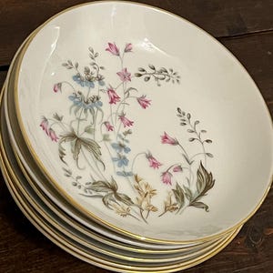 6 Symco Florette fruit bowls, vintage floral dessert bowls, 5.75” fruit bowls, cottage core bowls, mid-century pink blue floral sauce bowls