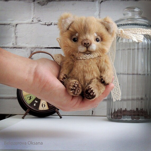kitty with teddy bear