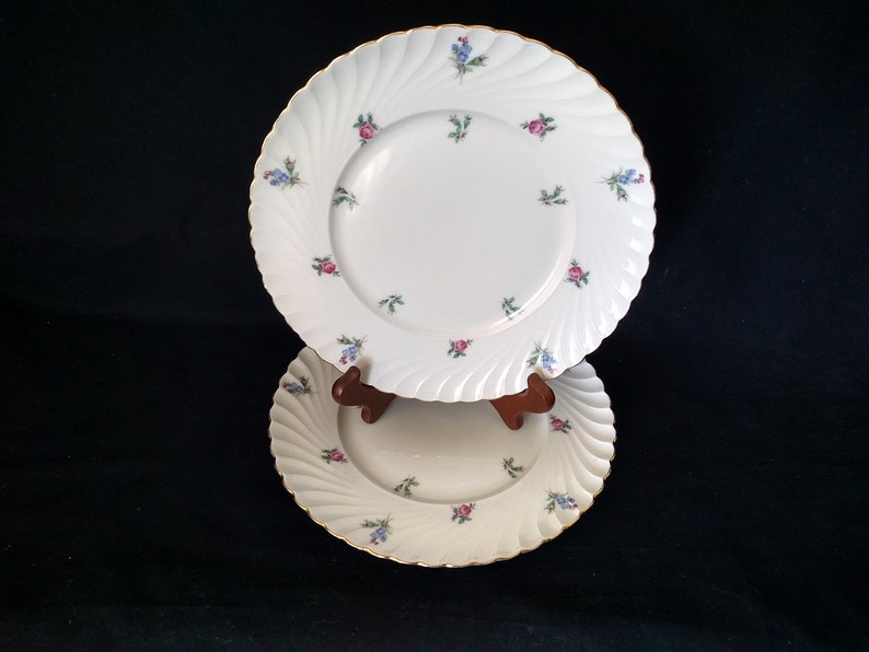 Royal Tettau Dresden Flowers Mid Century 2 Luncheon Plates Made in Germany