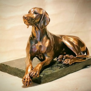 Lying Hungarian Vizsla Bronze statue