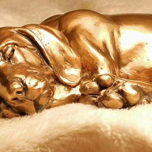 Sleeping Hungarian Vizsla Puppy solid bronze statuette