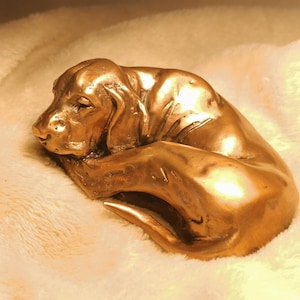 Sleeping Hungarian Vizsla Puppy solid bronze statuette