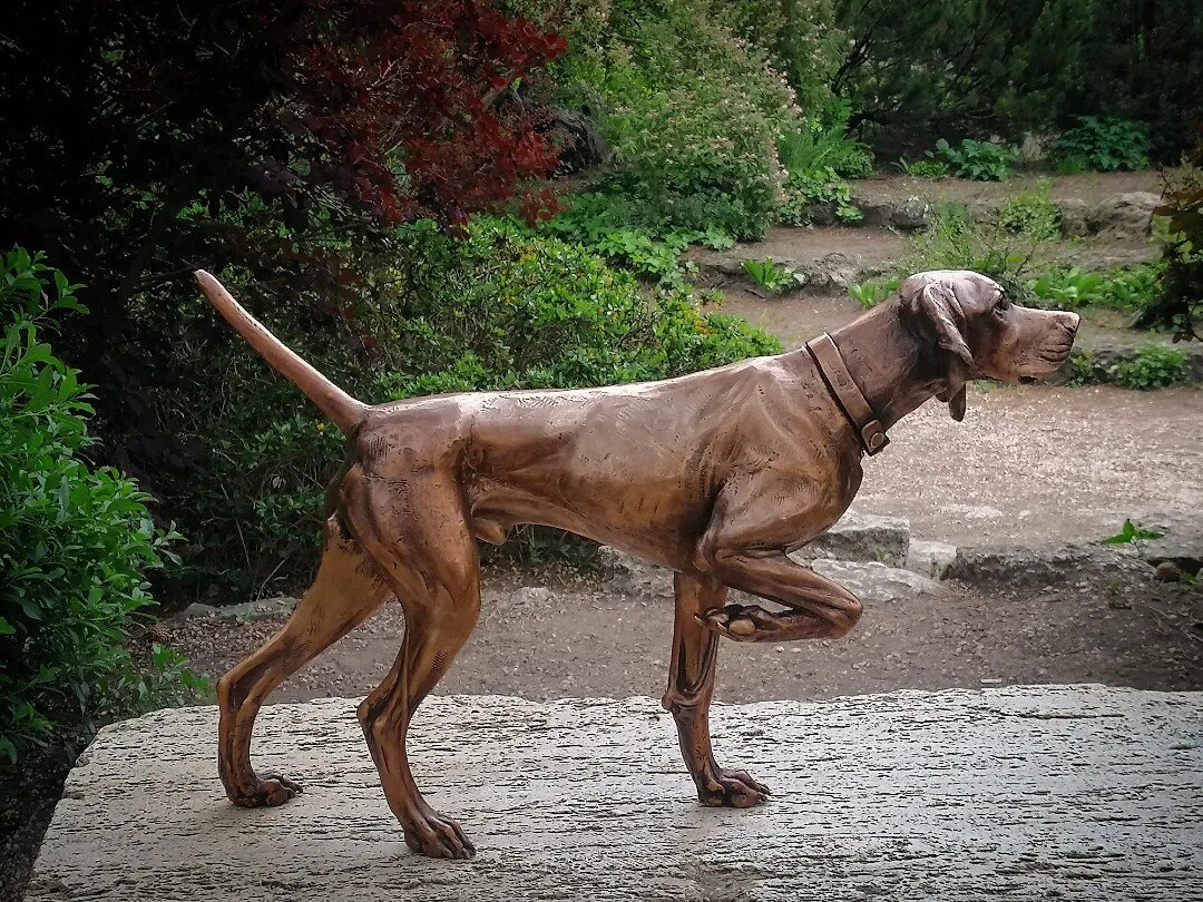 Hungarian Vizsla Solid Bronze Sculpture Which Can Also Be an Etsy