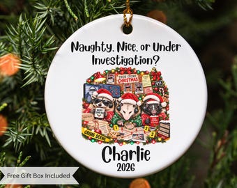 True Crime Ornament, Murder Mystery Christmas Gift, True Crime Gifts, Funny Xmas Holiday Ornament, Raccoon Ornament,
