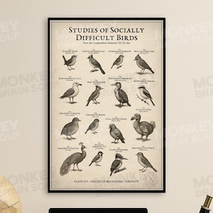 Poster di uccelli divertenti - Tabella scientifica vintage stampabile di uccelli goffi, download digitale di arte murale,
