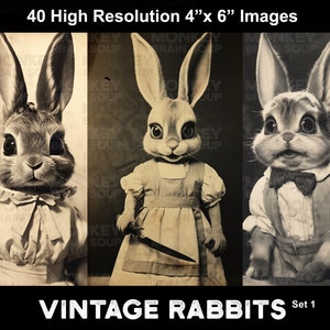 A collage of vintage sepia toned old photographs of funny and cute anthropomorphic rabbits with various expressive faces.