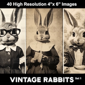 A collage of vintage sepia toned old photographs of funny and cute anthropomorphic rabbits with various expressive faces.